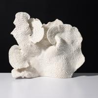 Large Cup Coral Specimen, 28W - Sold for $1,408 on 11-16-2025 (Lot 553).jpg